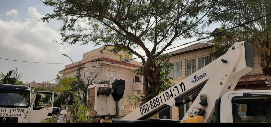 WhatsApp Image 2020-01-29 at 1.18.23 PM.jpeg.jpeg